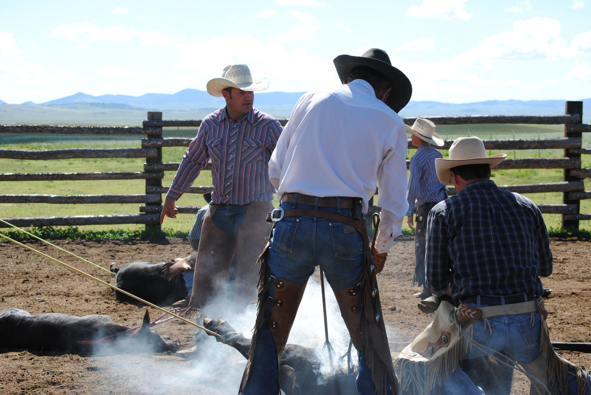 Gould Ranch Cattle Company