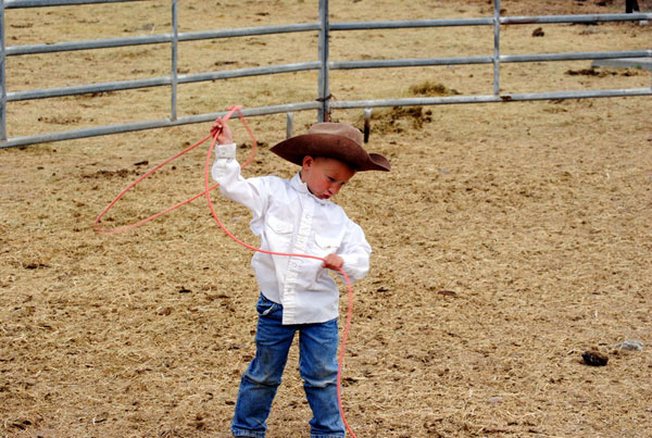 Learning the Ropes, Gould Ranch Cattle Co.